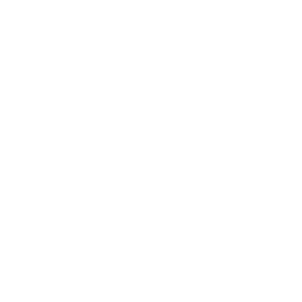 par empire logo white