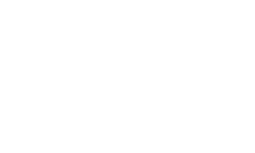 Arnifi logo